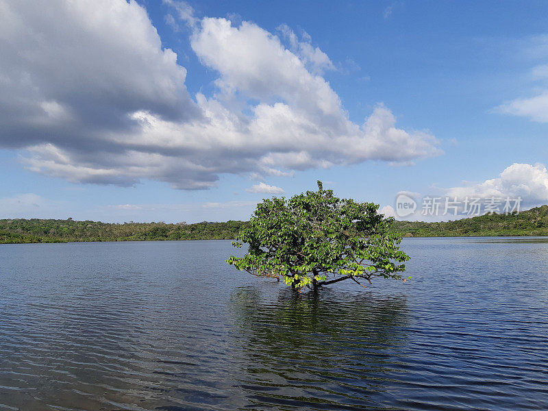 亚马逊地区- TAPAJOS - PARA